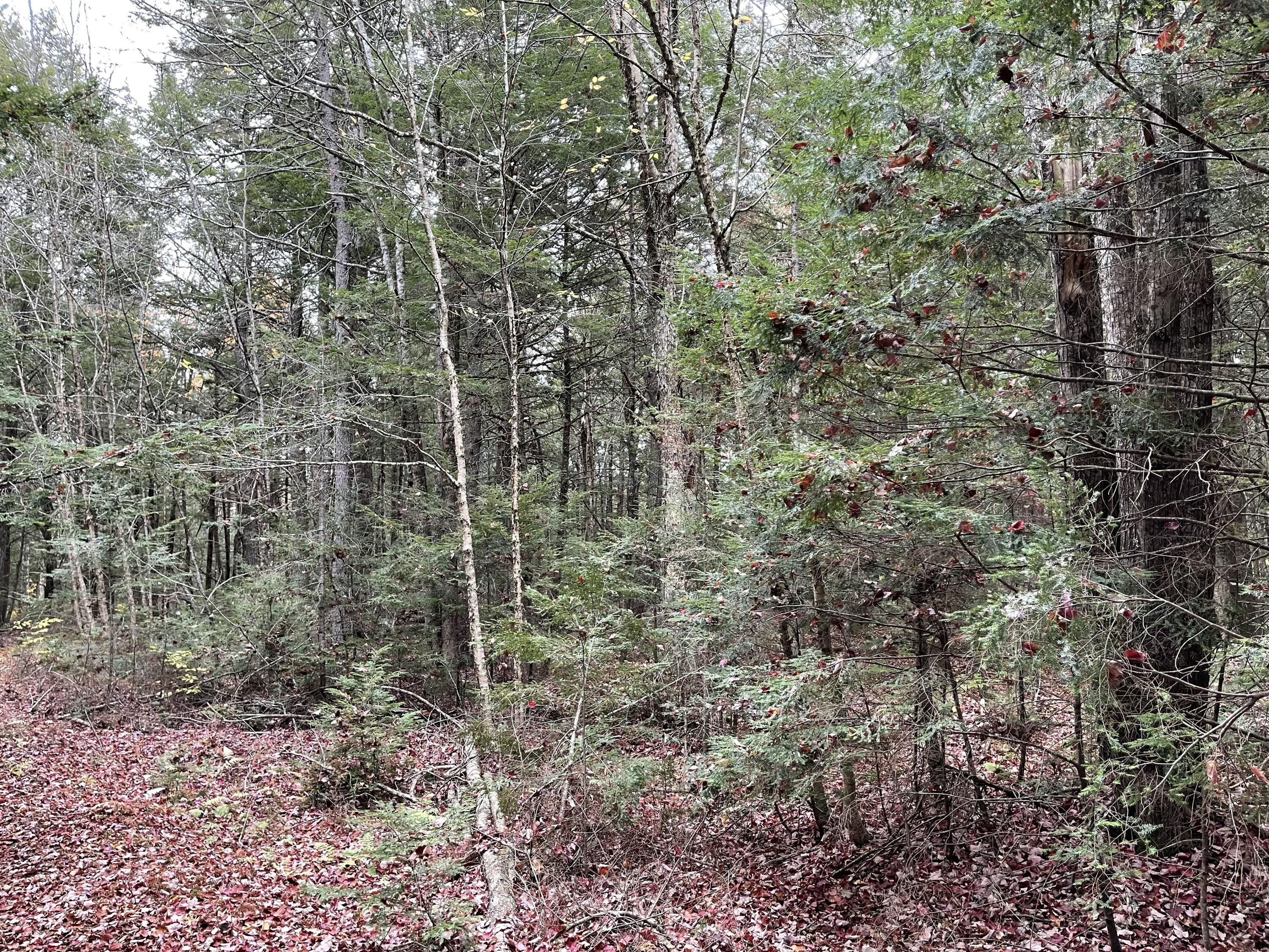 Lot 3-b West Branch Road Mariaville ME 04605