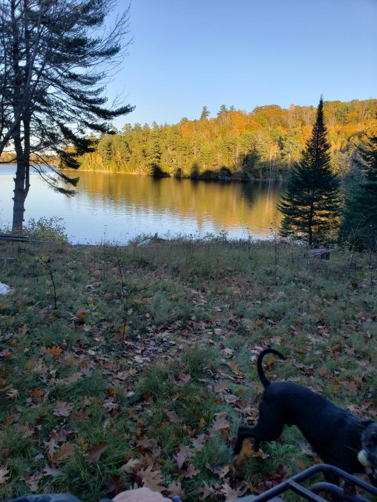 0 Packard Road Plymouth ME 04969