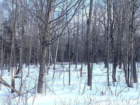 47 Greenville Road Shirley ME 04485