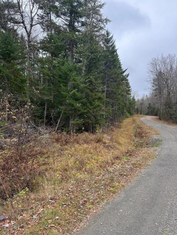 0 Paradise Lane Tomhegan Twp ME 04478