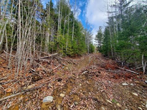 0 Pioneer Path Aurora ME 04408