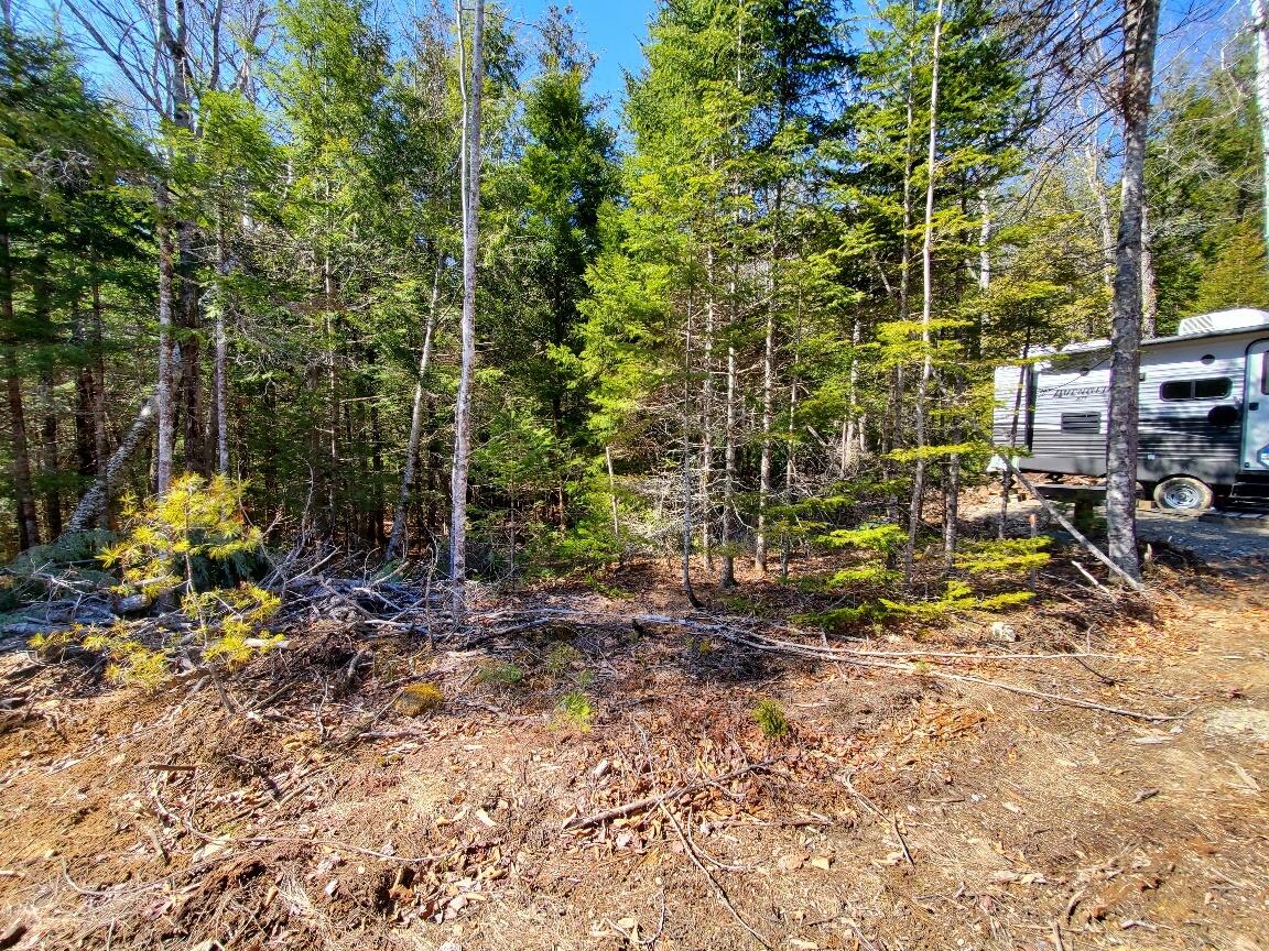 0 Pioneer Path Aurora ME 04408