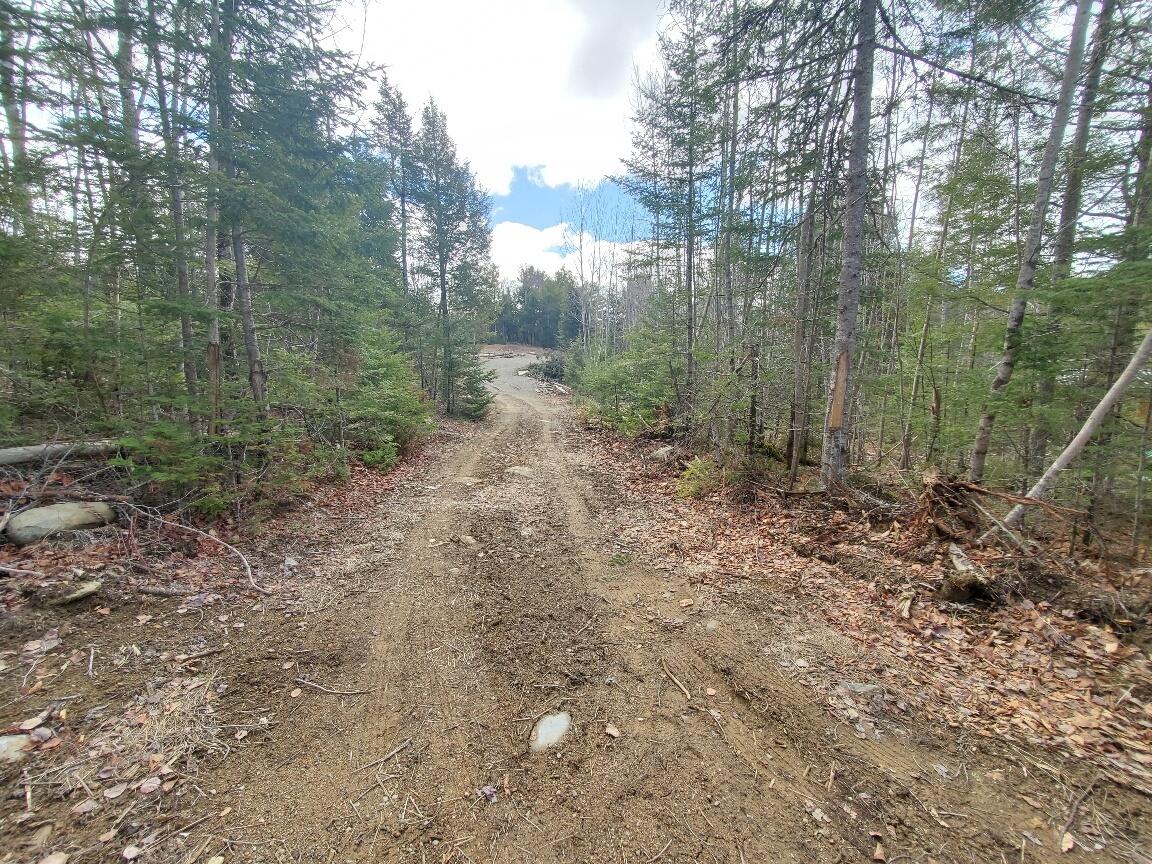 0 Pioneer Path Aurora ME 04408