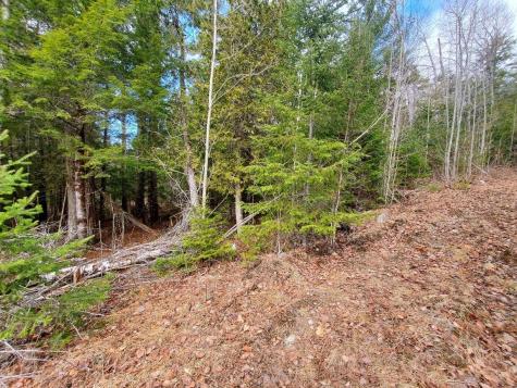 0 Pioneer Path Aurora ME 04408
