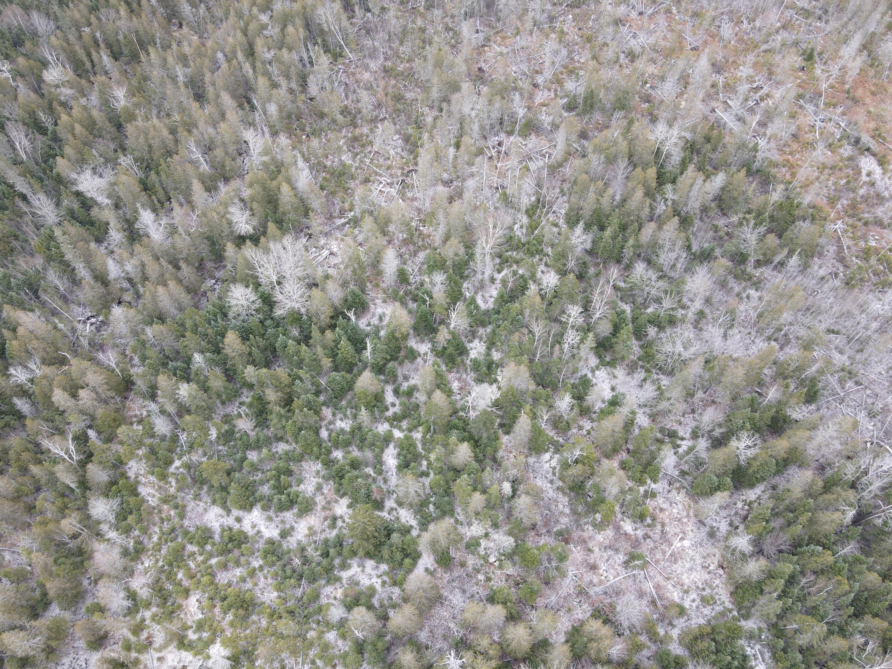 Lot 34-a2 Dallas Hill Road Dallas Plt ME 04970