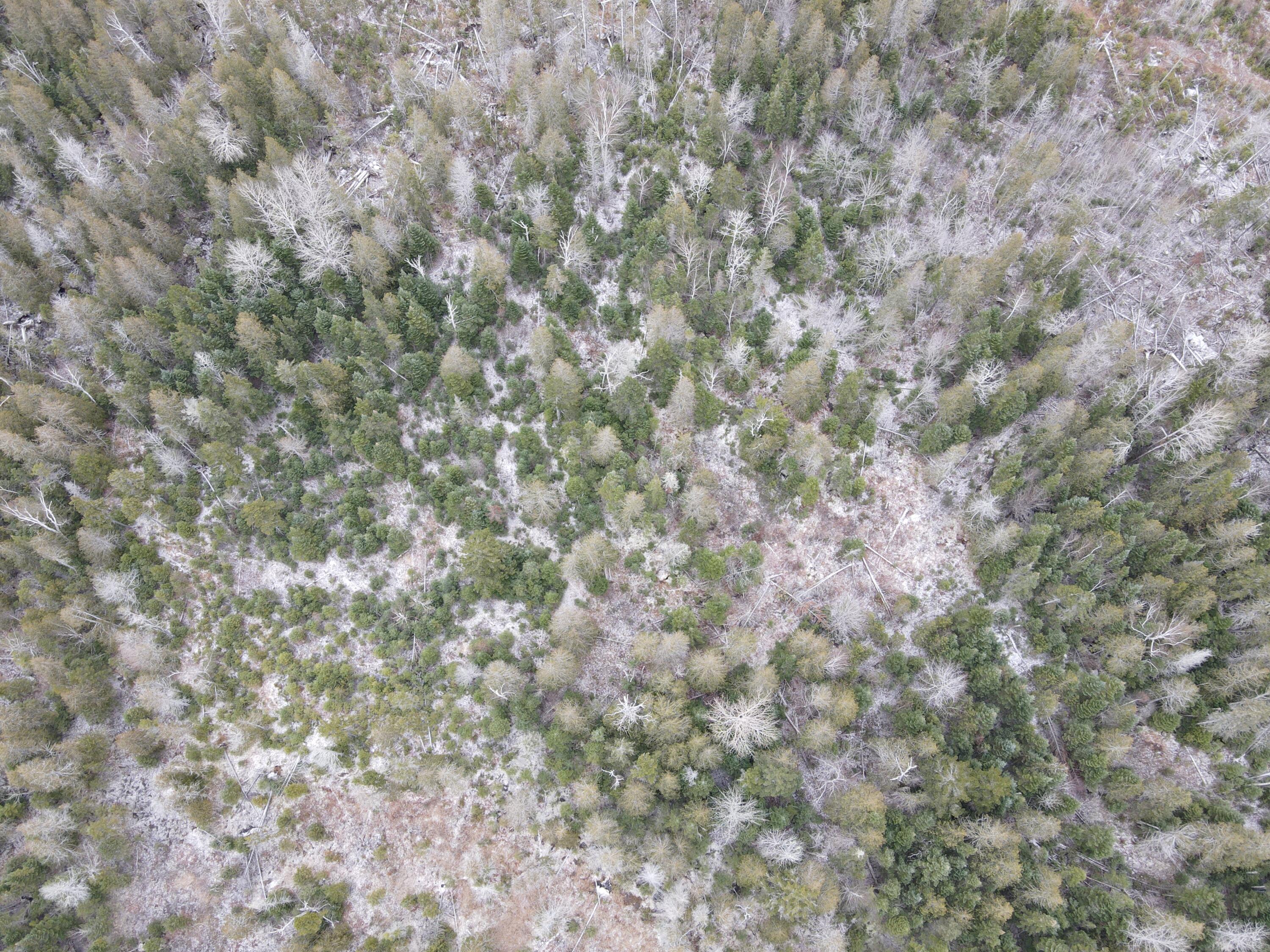 Lot 34-a2 Dallas Hill Road Dallas Plt ME 04970