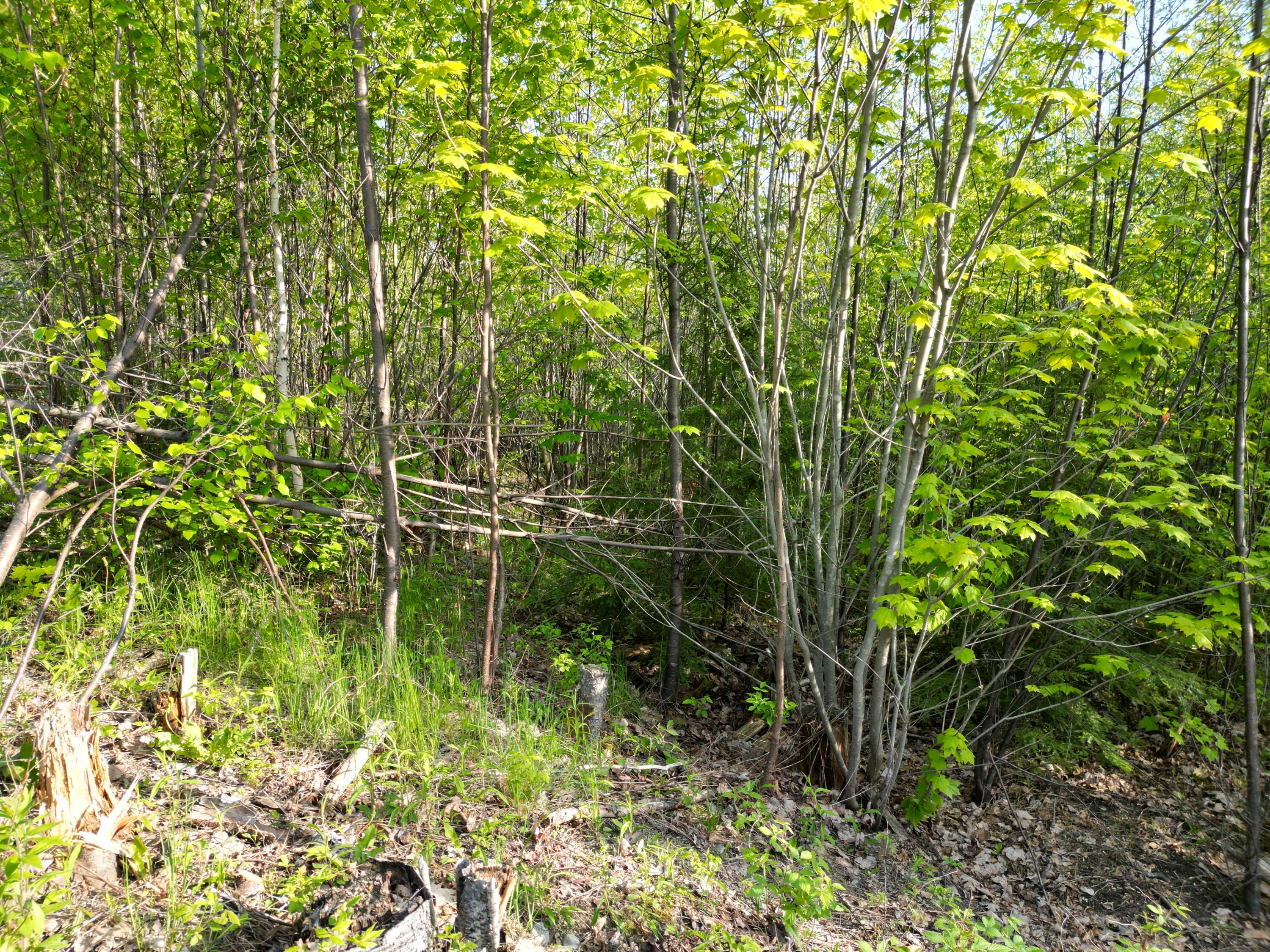 Lot 41-1 Bottle Lake Road Lakeville ME 04487