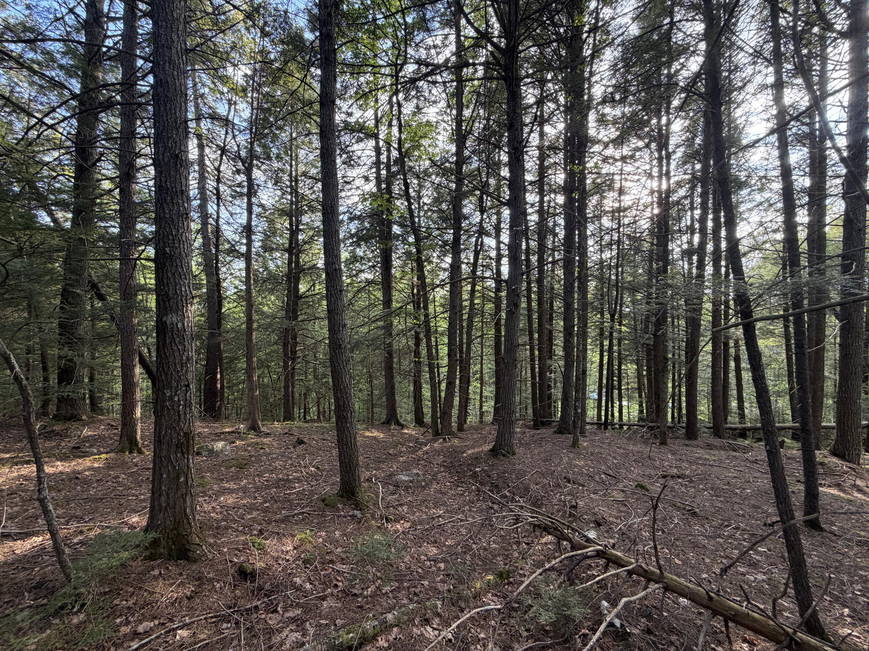 Lot 41-1 Bottle Lake Road Lakeville ME 04487
