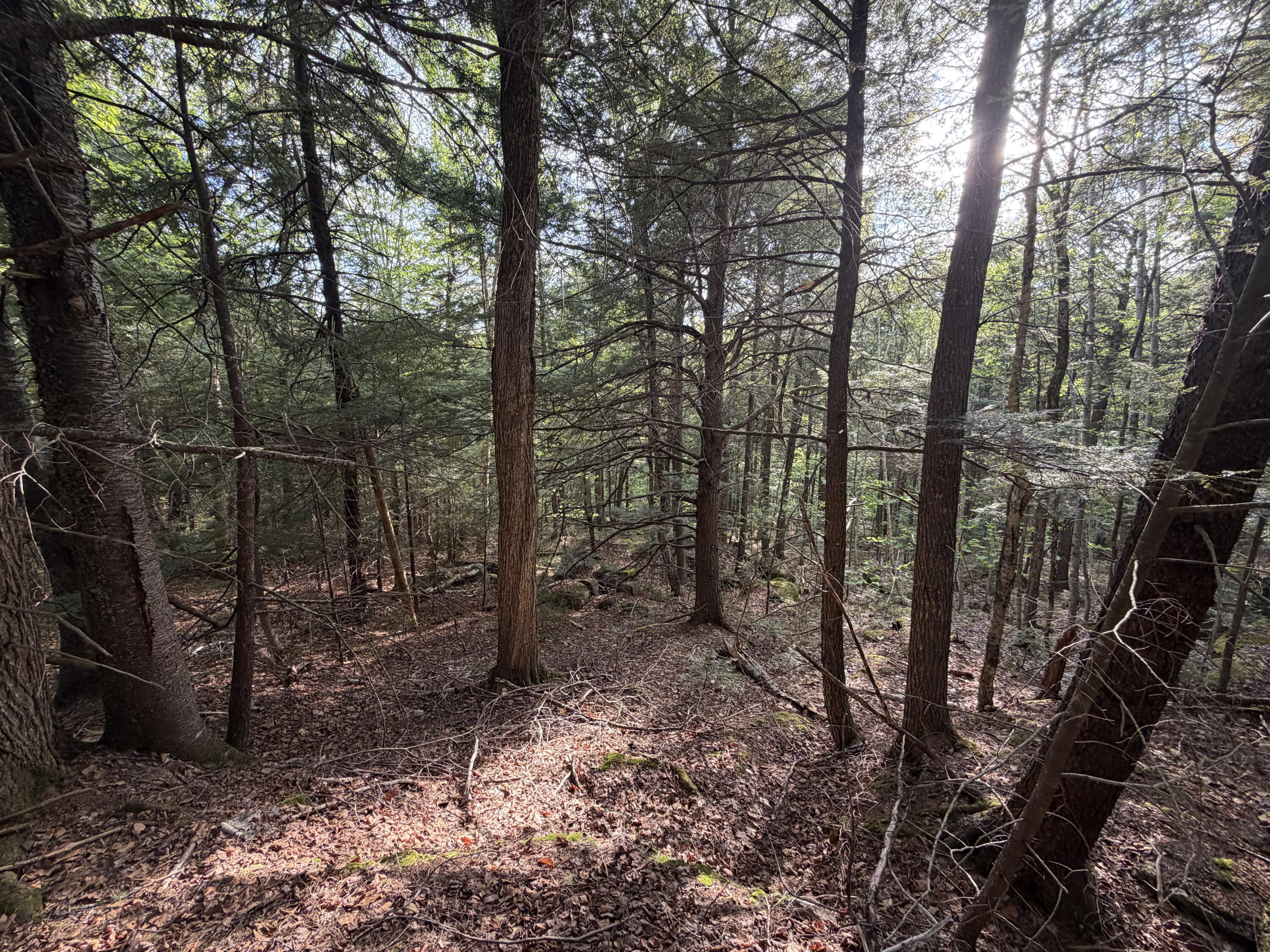 Lot 41-1 Bottle Lake Road Lakeville ME 04487