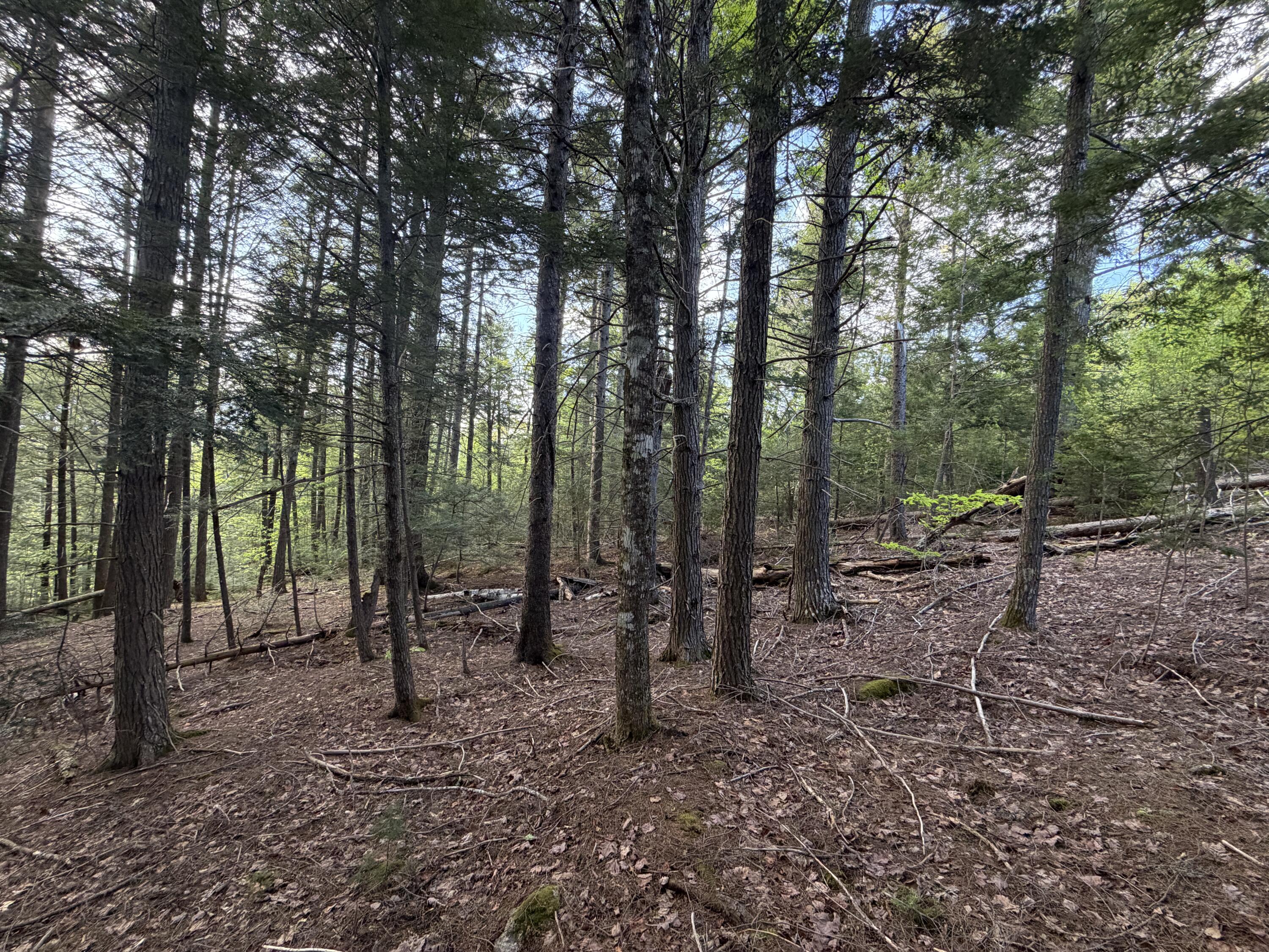 Lot 41-1 Bottle Lake Road Lakeville ME 04487