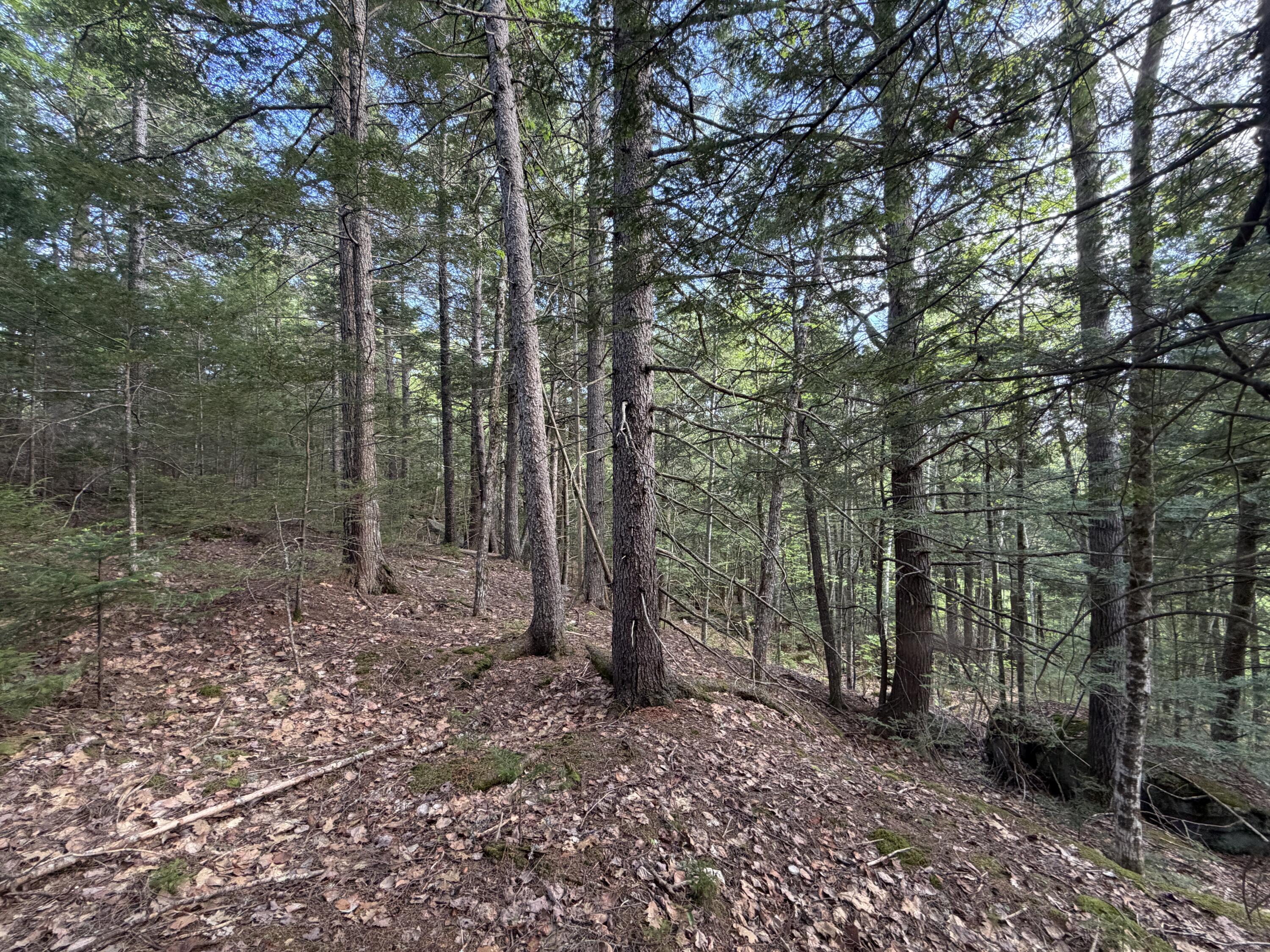 Lot 41-1 Bottle Lake Road Lakeville ME 04487
