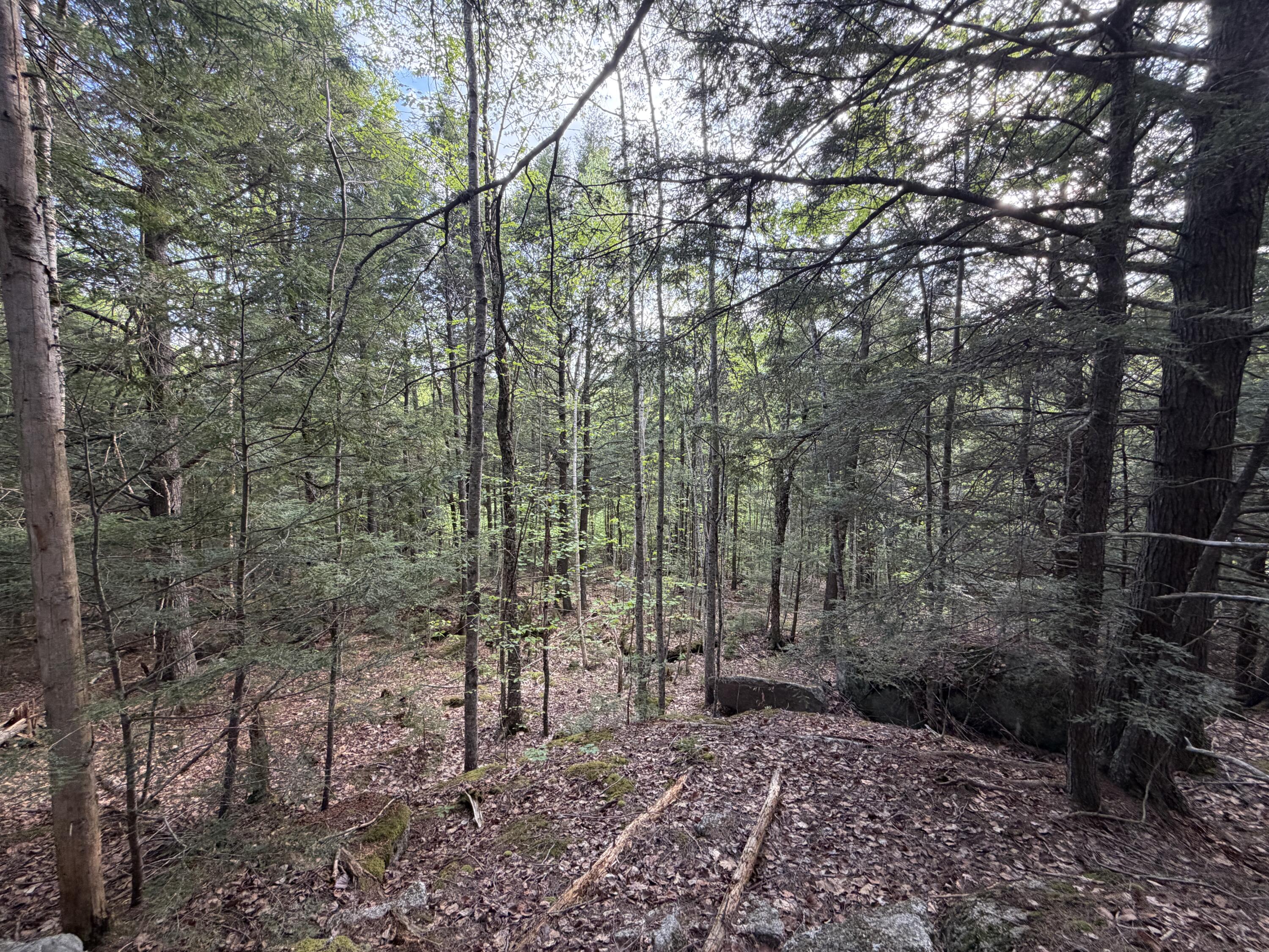 Lot 41-1 Bottle Lake Road Lakeville ME 04487