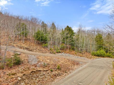 LOT#3 & 5 Millstream Heights Dedham ME 04426