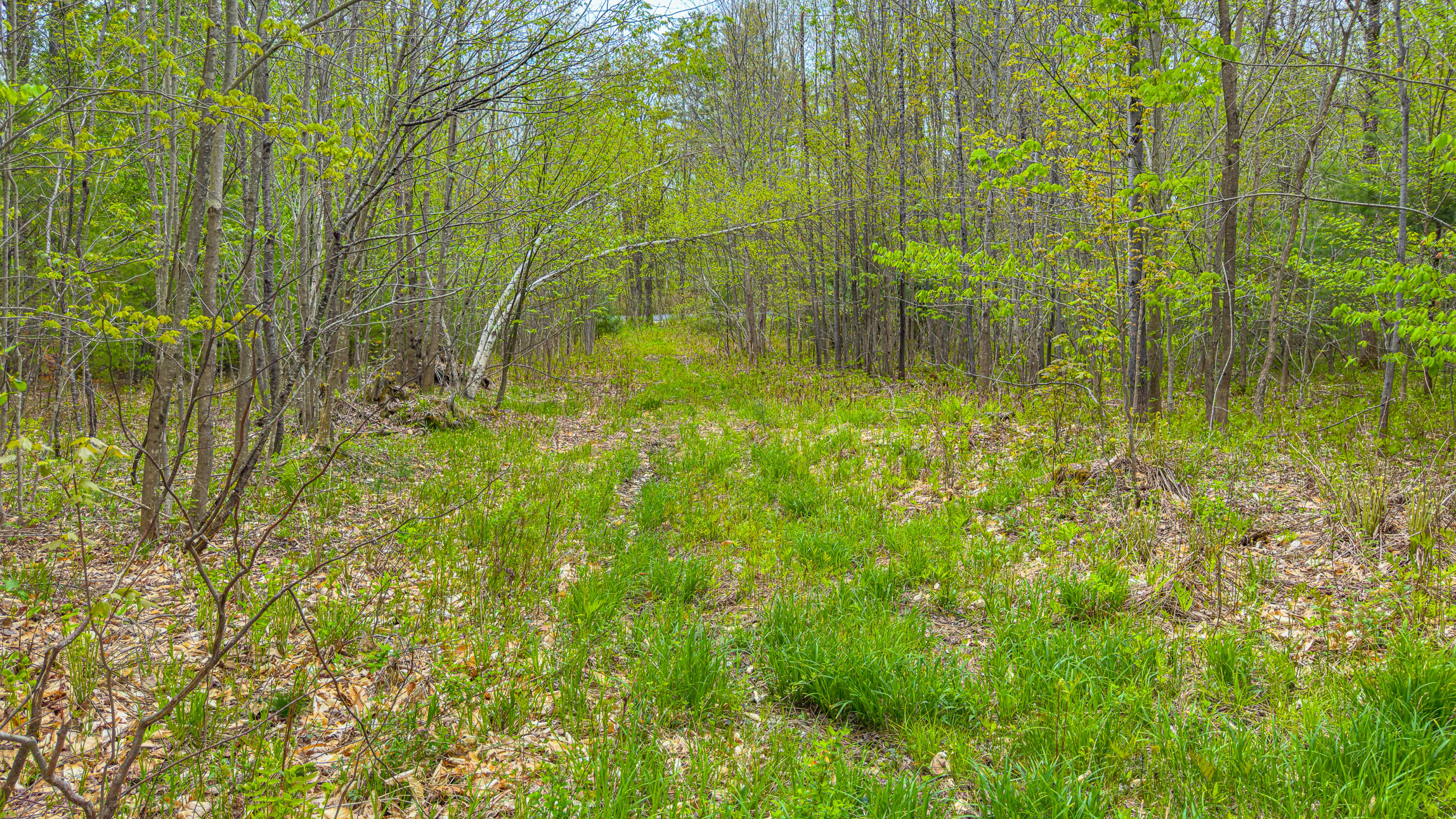 2192 Main Street Lovell ME 04051
