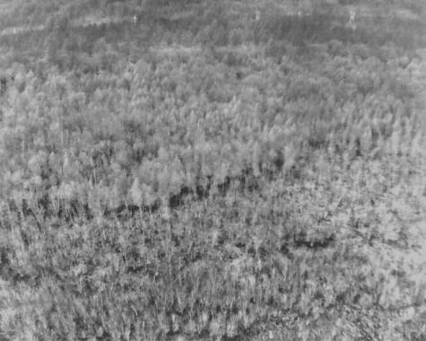 MAP4LOT15 St. John 's Road Passadumkeag ME 04475
