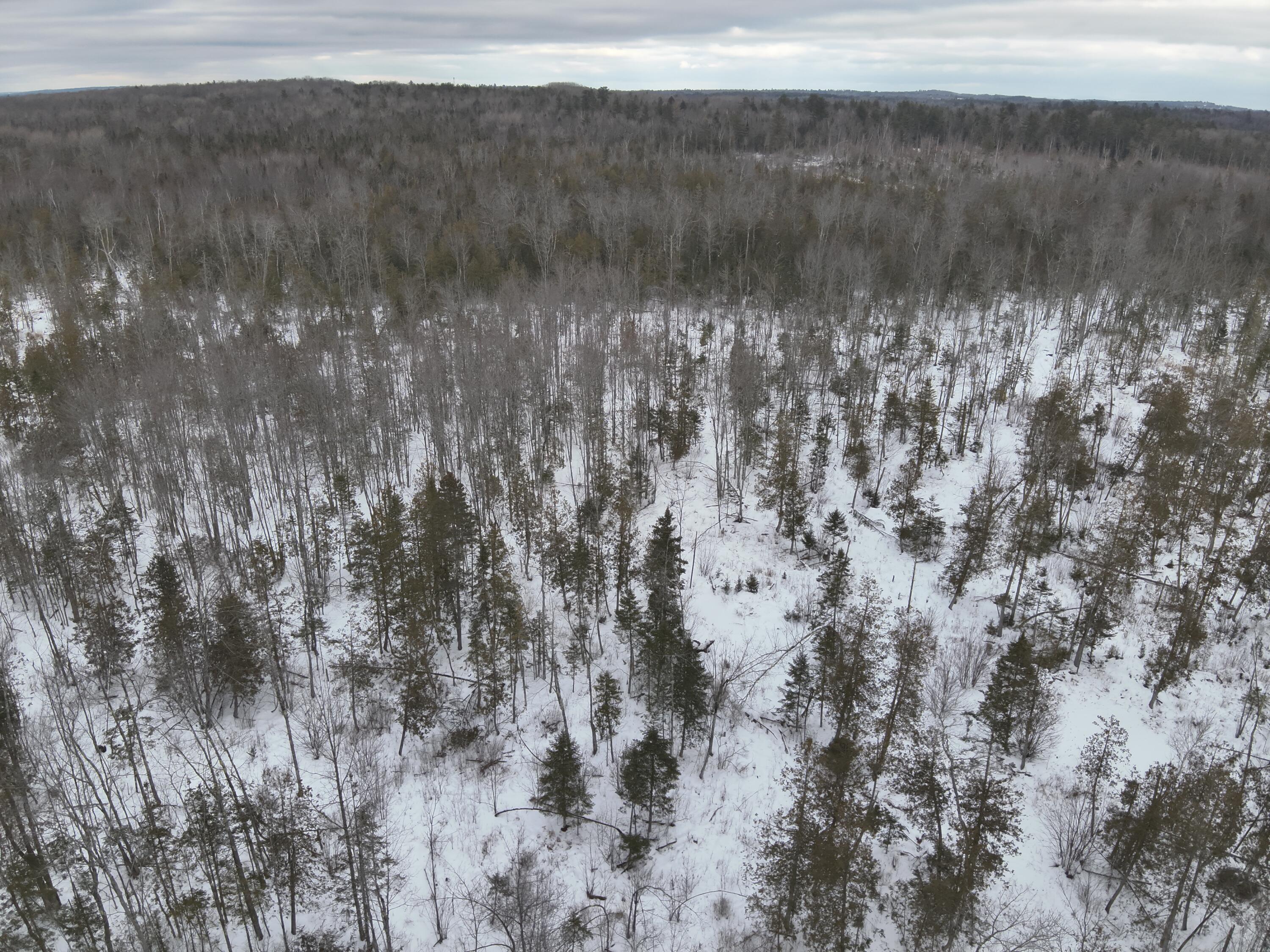 MAP4LOT15 St. John 's Road Passadumkeag ME 04475