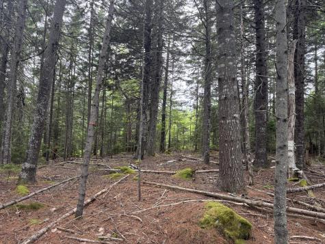 001-108 Oak Point Road Trenton ME 04605