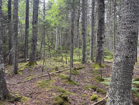 001-108 Oak Point Road Trenton ME 04605