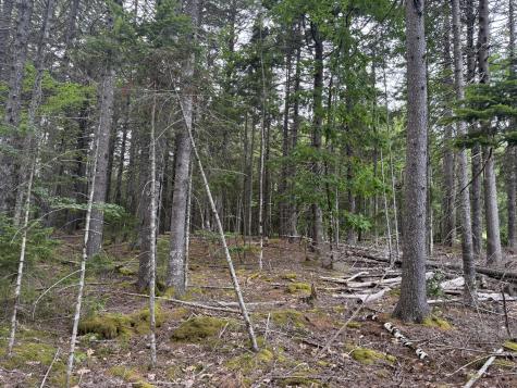 001-108 Oak Point Road Trenton ME 04605