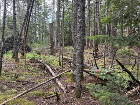 001-108 Oak Point Road Trenton ME 04605