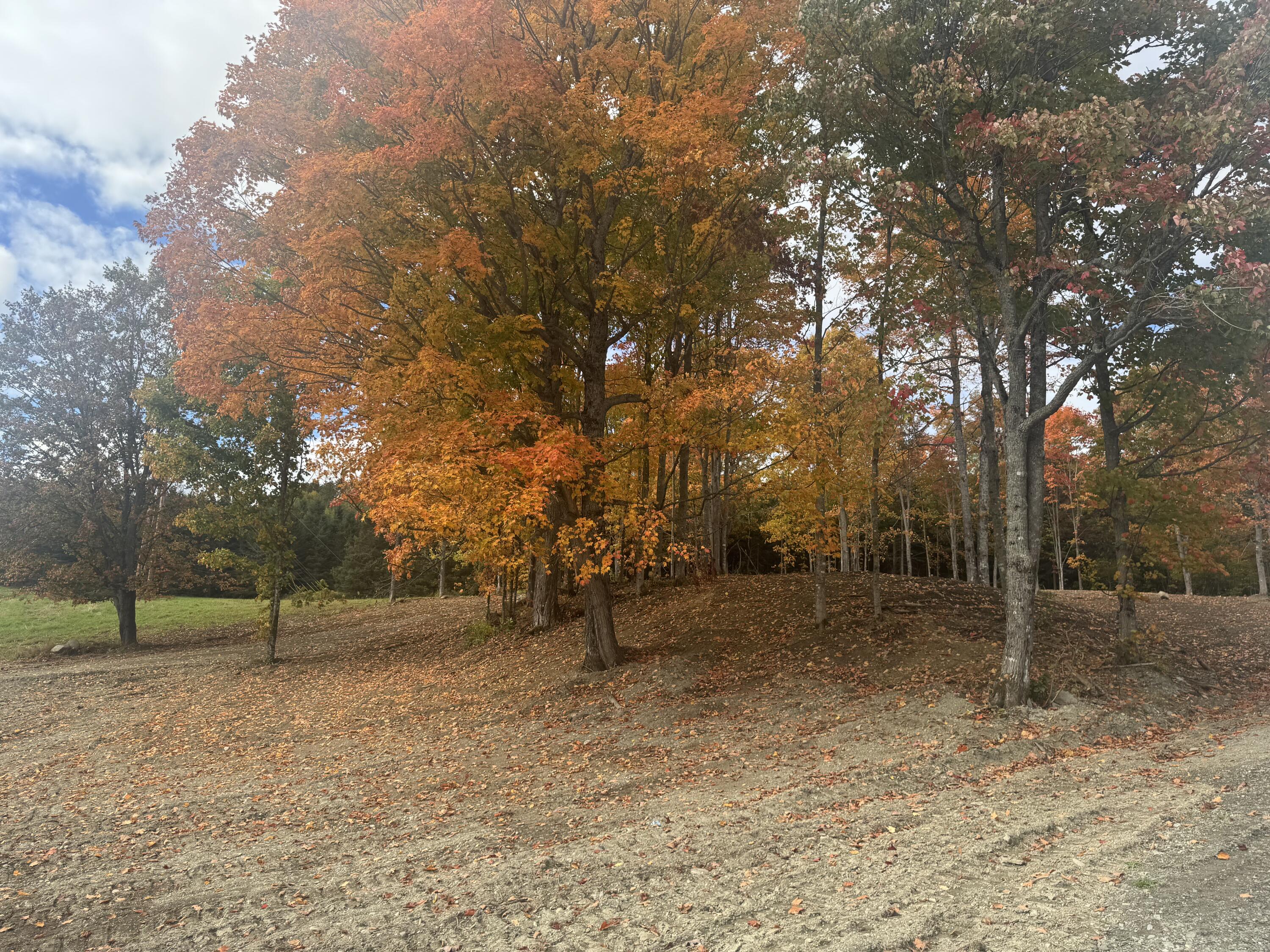 MAP2BLOT93 Fox Road New Canada ME 04743