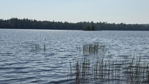 Lot #1 Bucksport Road Ellsworth ME 04605