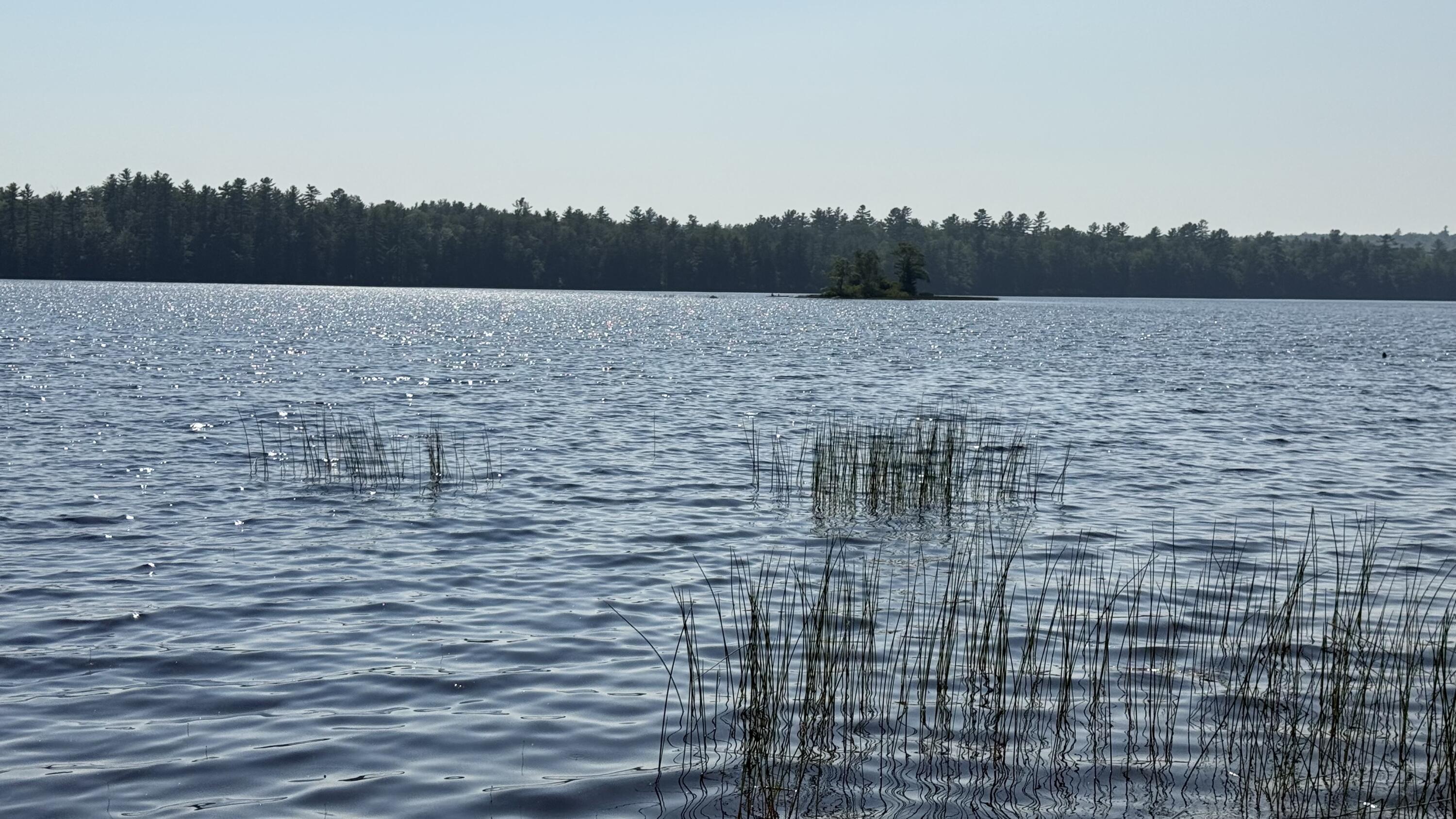 Lot #1 Bucksport Road Ellsworth ME 04605