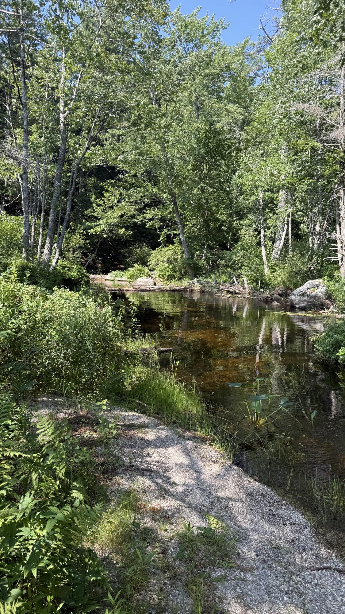 Lot #1 Bucksport Road Ellsworth ME 04605