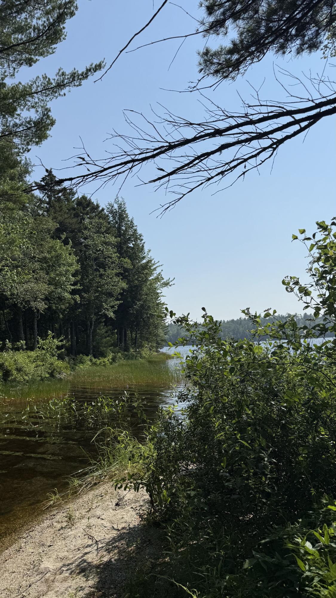 Lot #1 Bucksport Road Ellsworth ME 04605