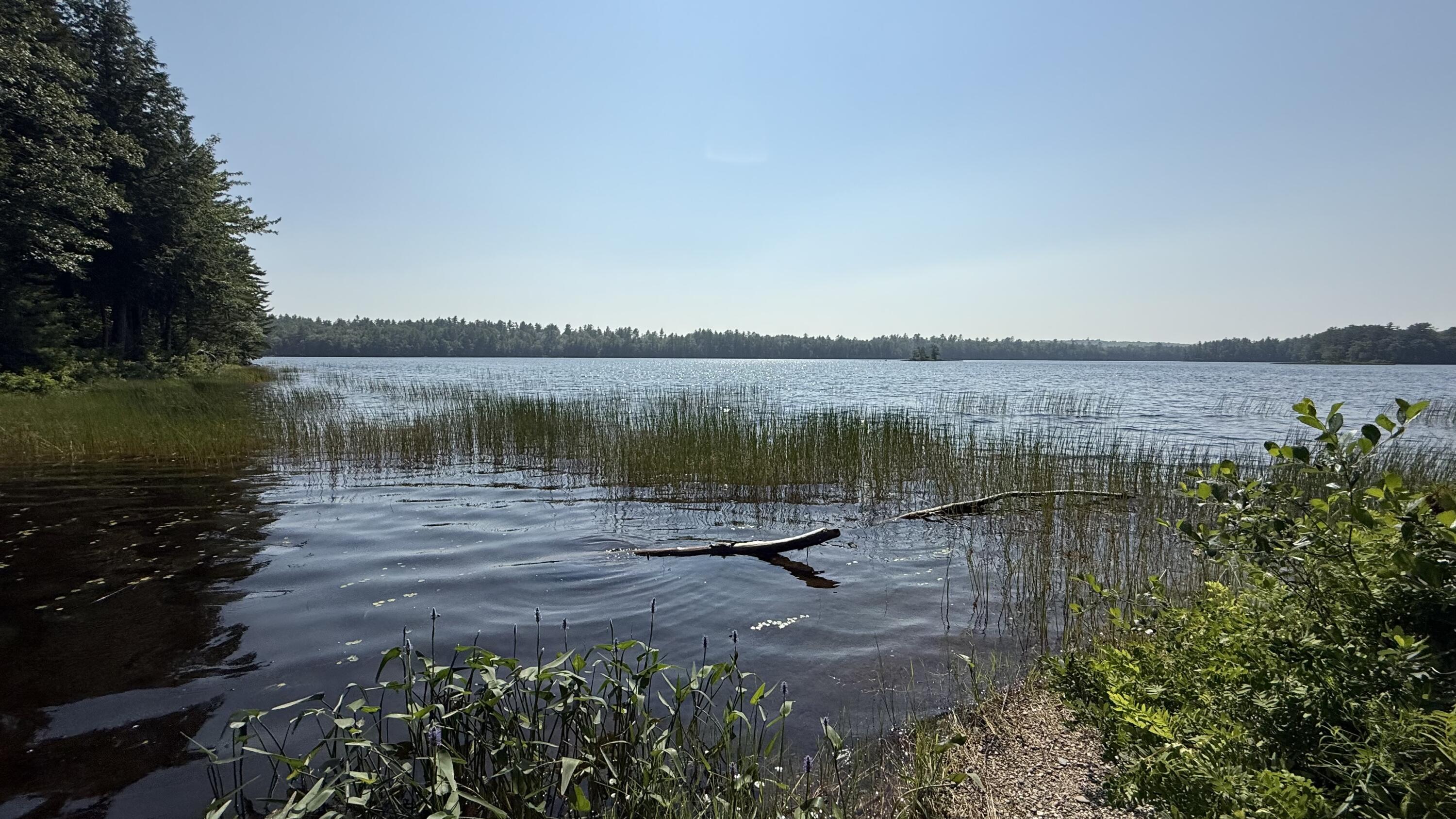 Lot #1 Bucksport Road Ellsworth ME 04605