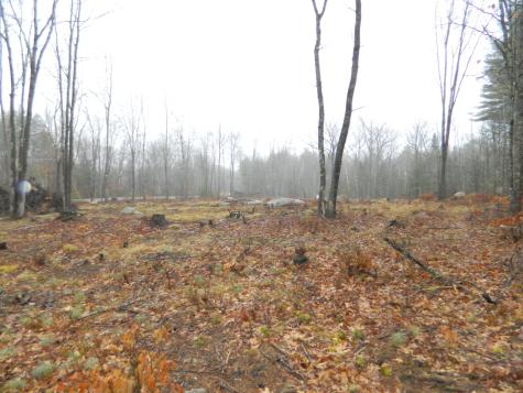 0 Owls Nest Road Shapleigh ME 04076