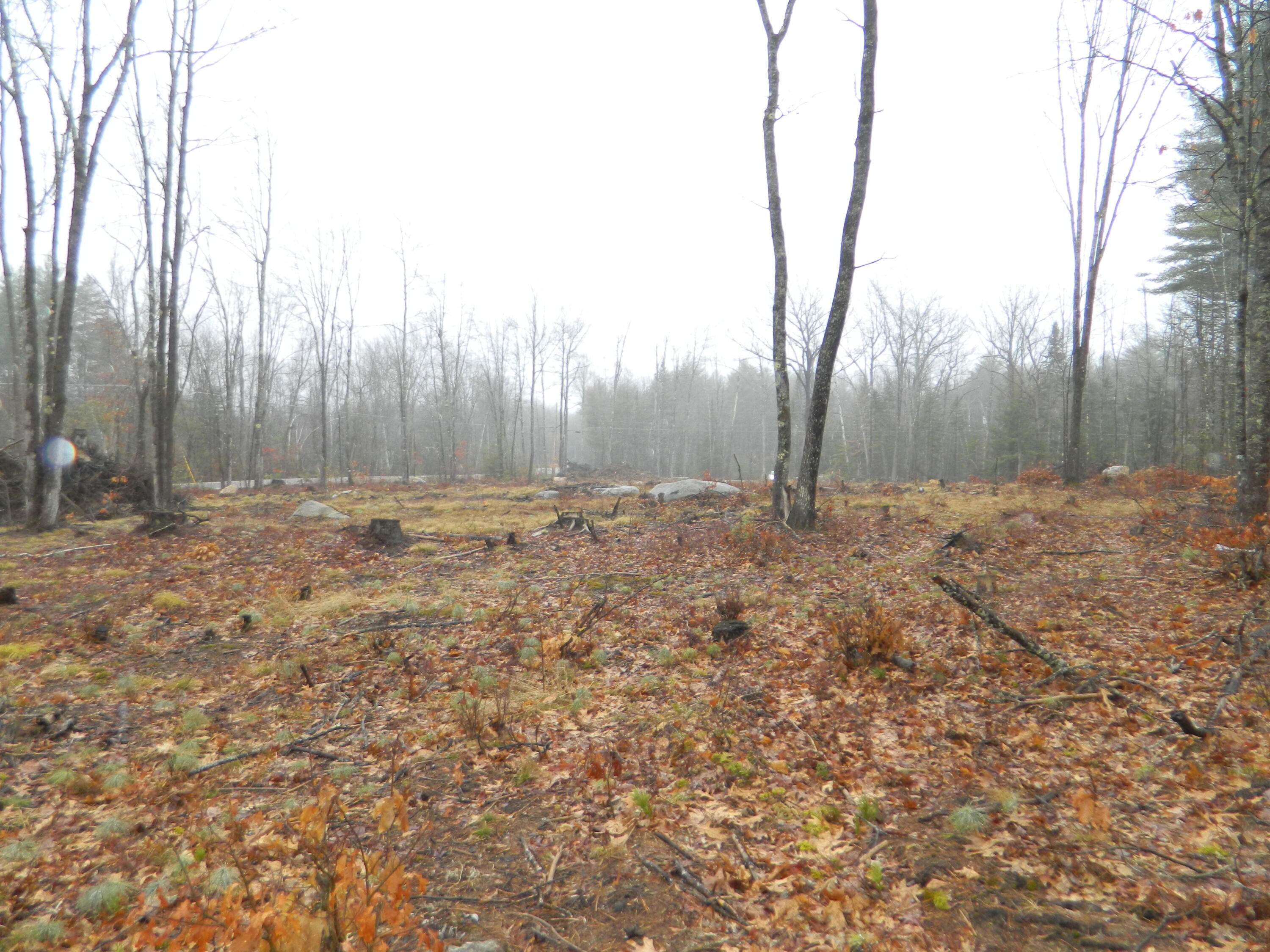 0 Owls Nest Road Shapleigh ME 04076