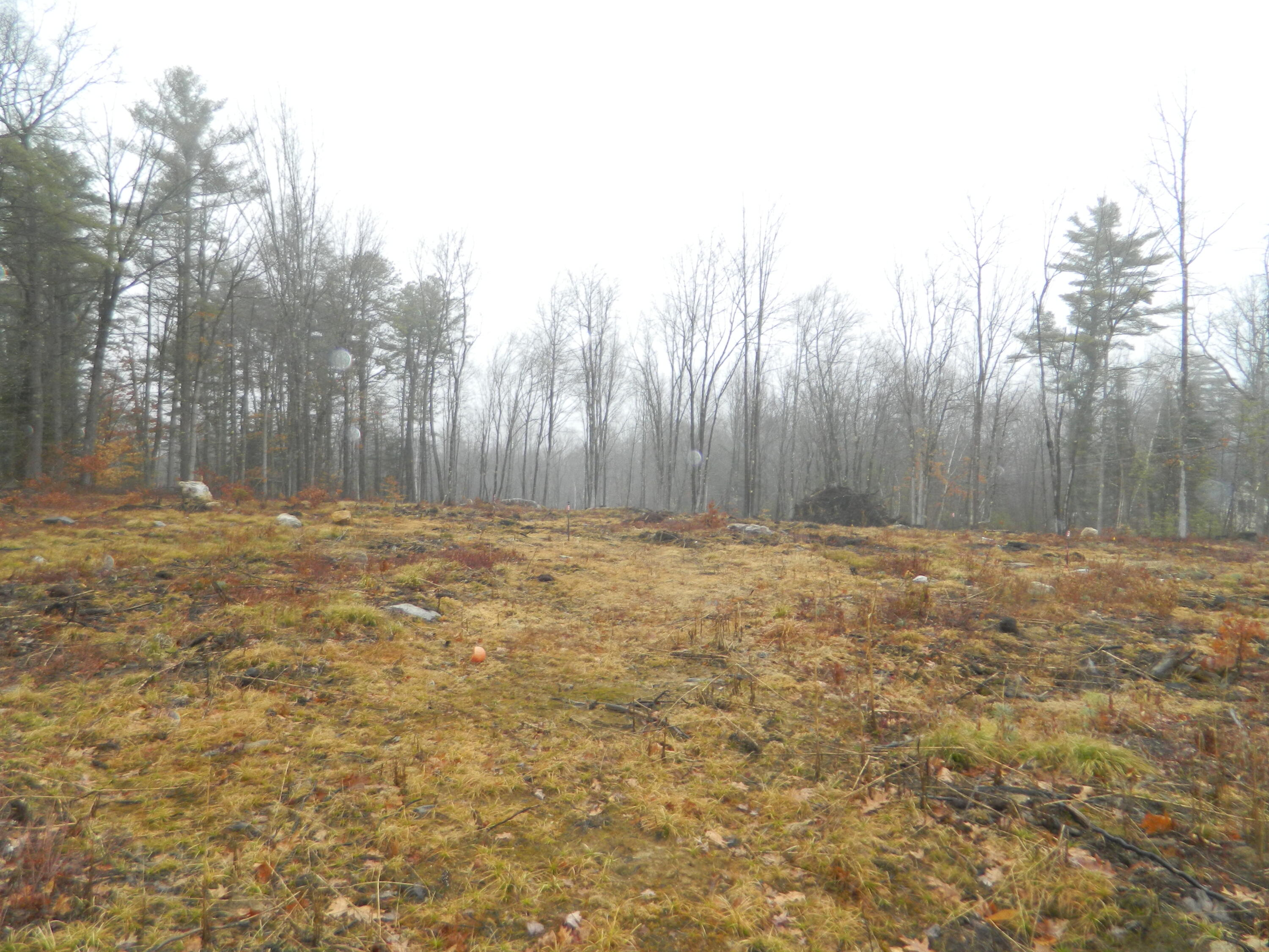 0 Owls Nest Road Shapleigh ME 04076