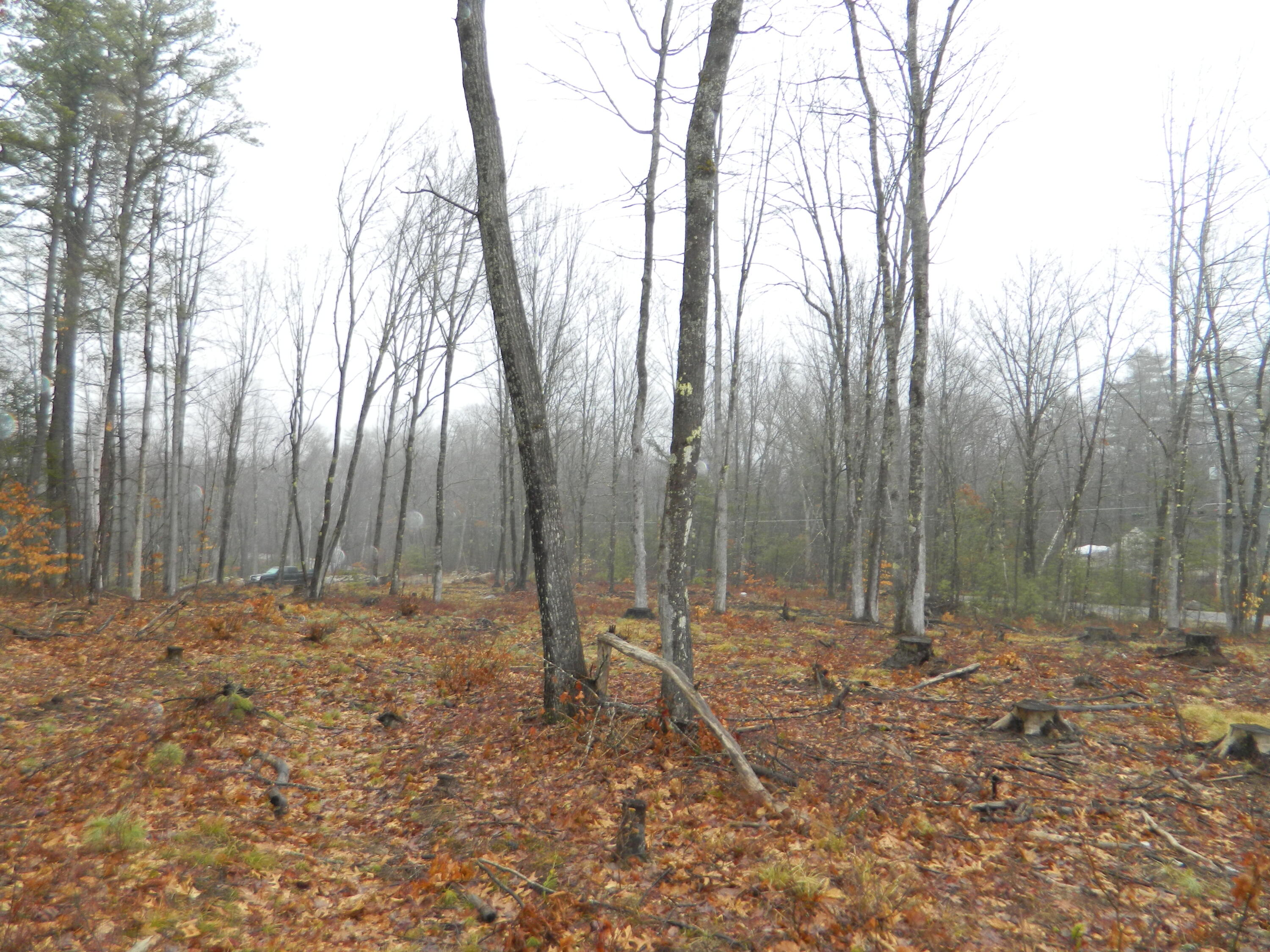 0 Owls Nest Road Shapleigh ME 04076