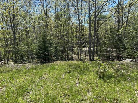 3 Cemetery Road Gouldsboro ME 04607