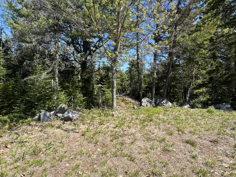 3 Cemetery Road Gouldsboro ME 04607