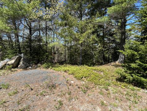 3 Cemetery Road Gouldsboro ME 04607