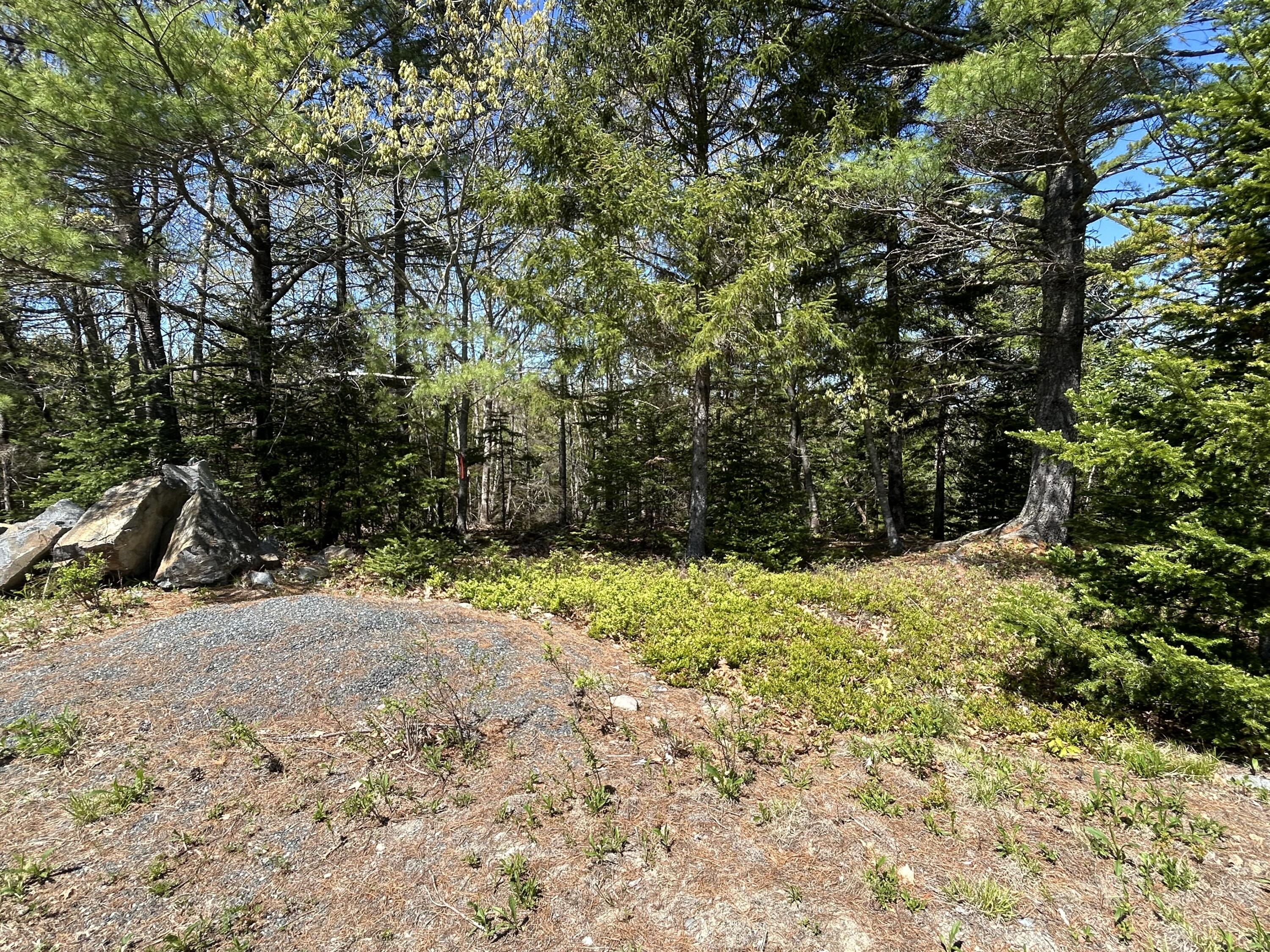 3 Cemetery Road Gouldsboro ME 04607