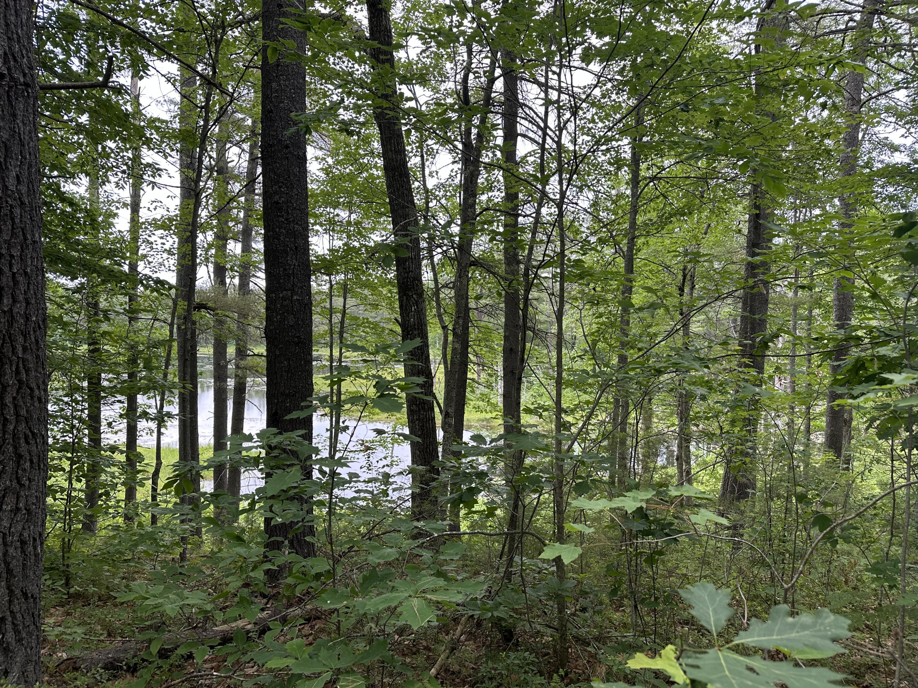 M 7 L 5-5 Blandings Lane Shapleigh ME 04076