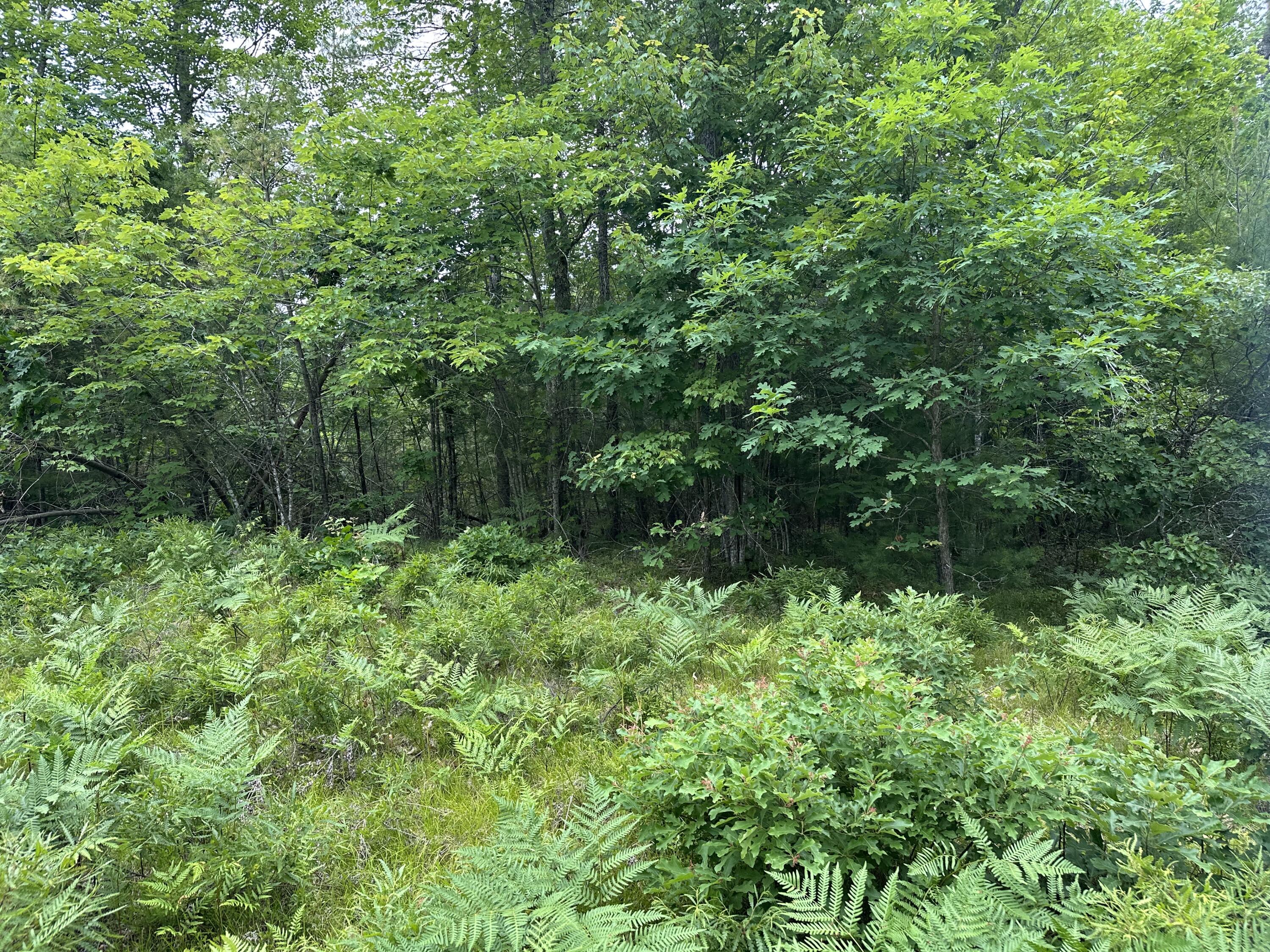 M 7 L 5-5 Blandings Lane Shapleigh ME 04076