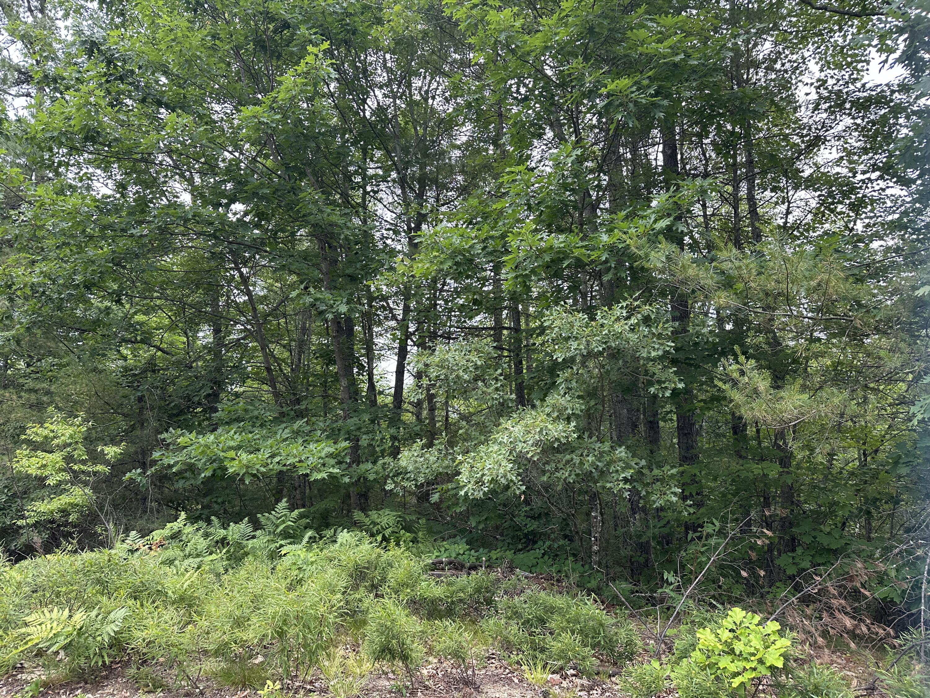 M 7 L 5-5 Blandings Lane Shapleigh ME 04076
