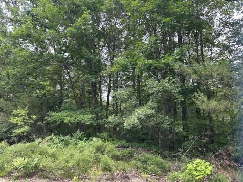 M 7 L 5-5 Blandings Lane Shapleigh ME 04076