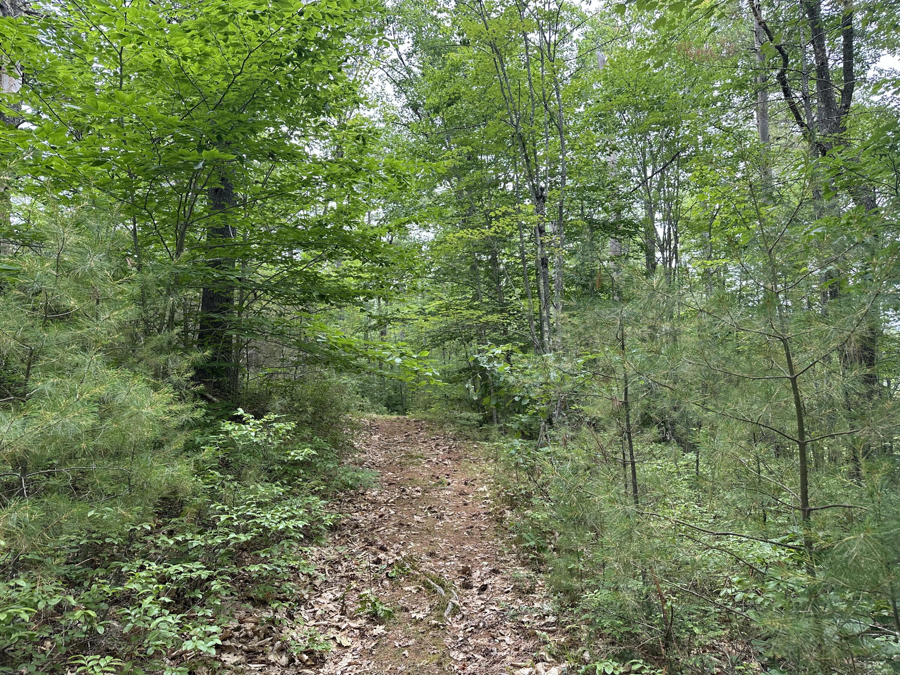 M 7 L 5-5 Blandings Lane Shapleigh ME 04076