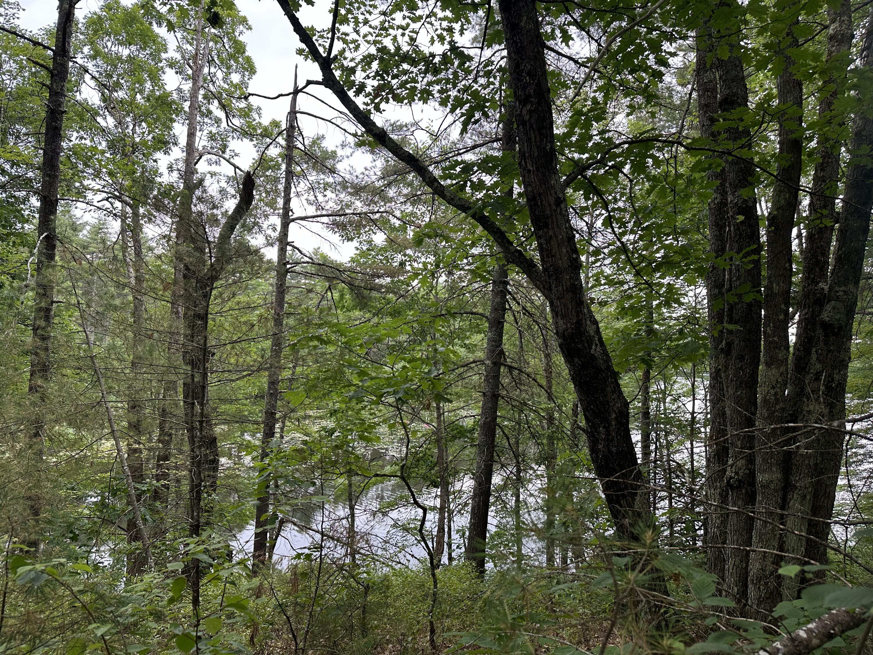 M 7 L 5-5 Blandings Lane Shapleigh ME 04076