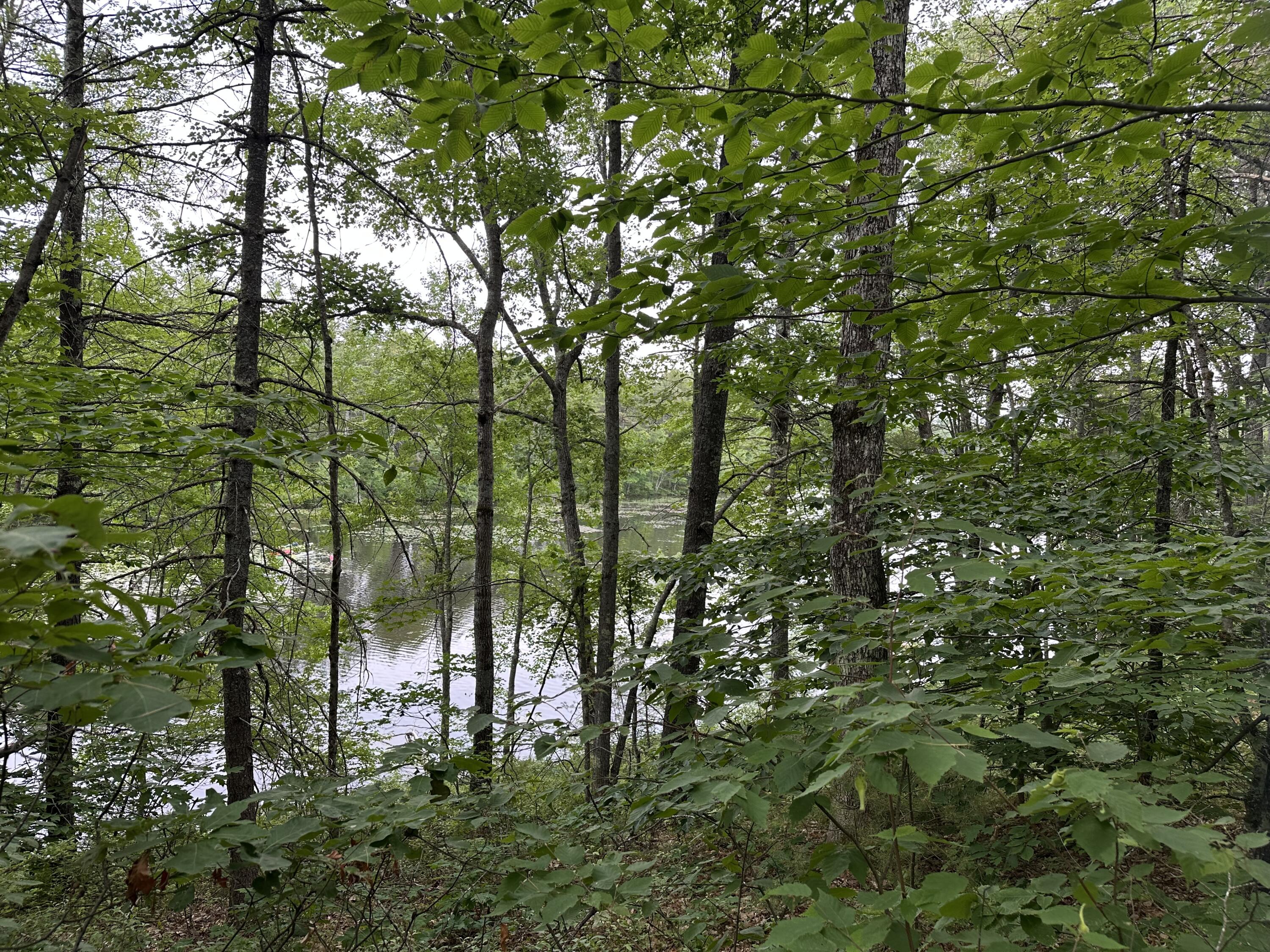 M 7 L 5-5 Blandings Lane Shapleigh ME 04076