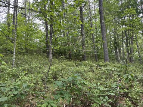 M 7 L 5-5 Blandings Lane Shapleigh ME 04076