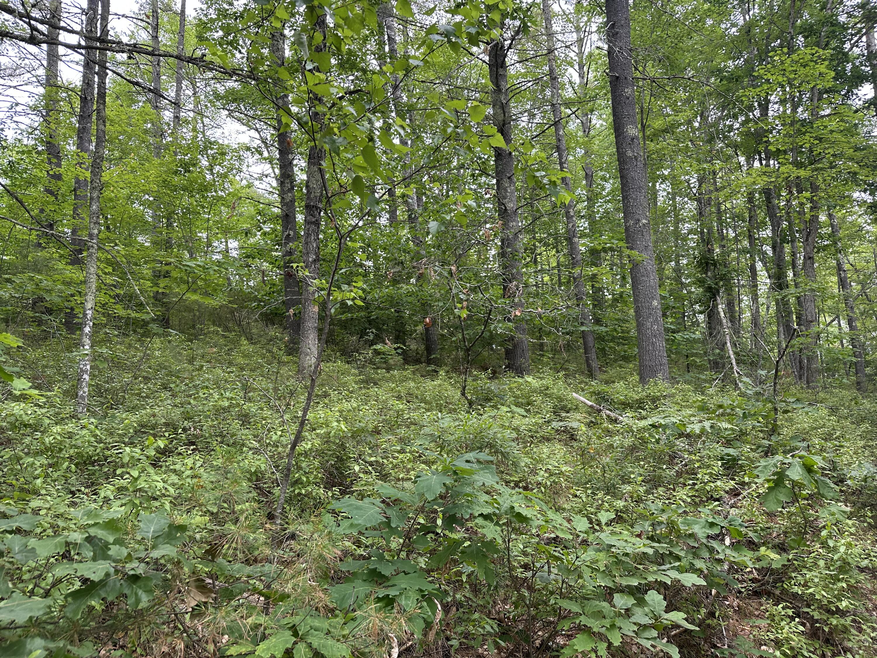 M 7 L 5-5 Blandings Lane Shapleigh ME 04076
