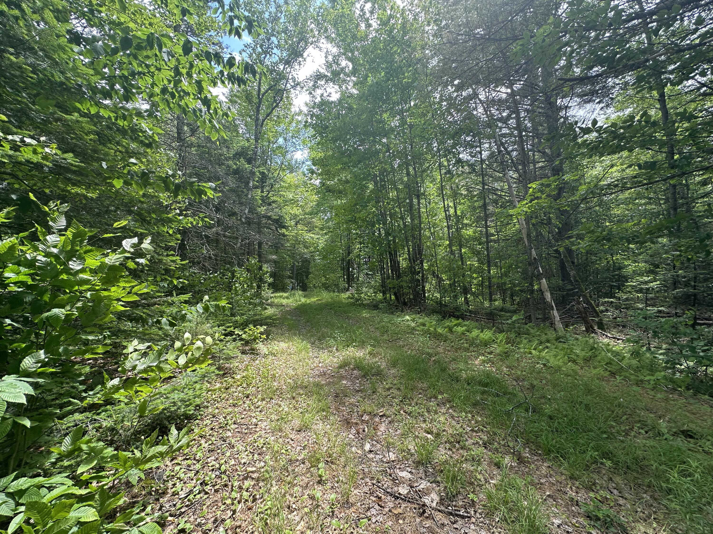 1818 Industry Road Industry ME 04938