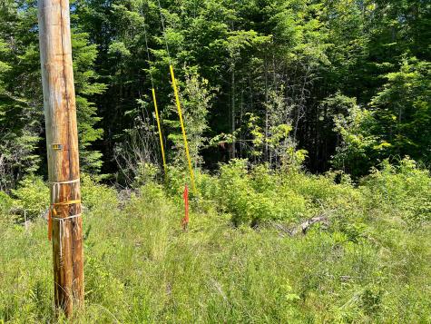 Lot 3 Woodland Ridge Road Danforth ME 04424