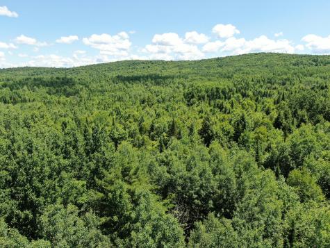 Lot 3 Woodland Ridge Road Danforth ME 04424